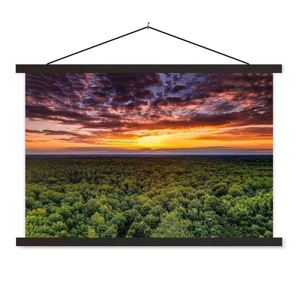MuchoWow Textilposter Wald - Nacht - Himmel - Horizont - Bäume 60x40 cm mit schwarzem Rahmen - Hölzernes