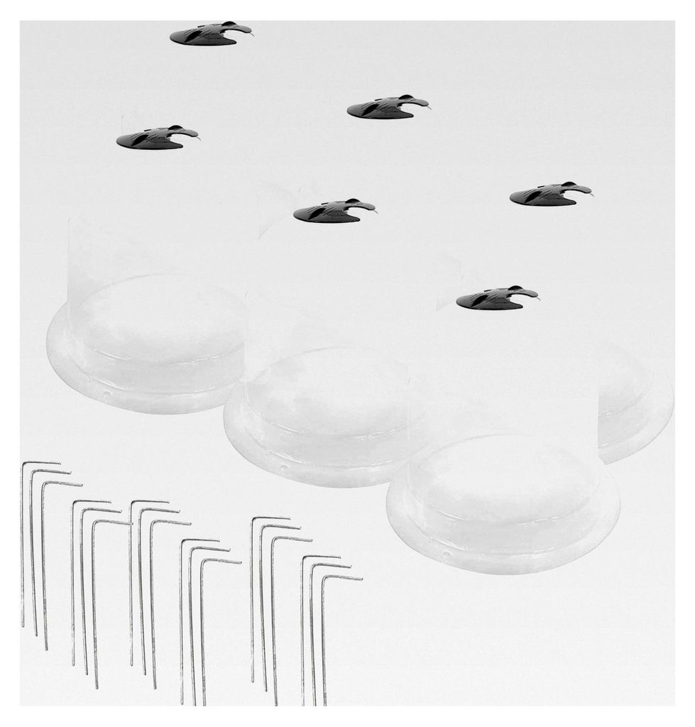 6X Pflanzglocke 34cm, transparente Pflanzenschutzhaube, Anzuchtglocke, Anzucht-Pflanzhilfe, Schutz vor Frost, Schnecken und Vögeln (34cm, 2X 3er Set)