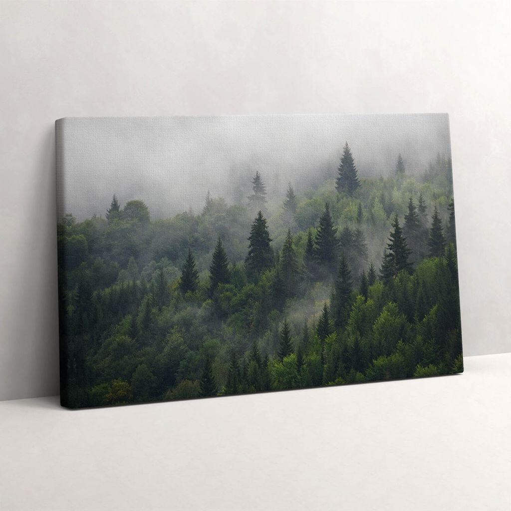 Waldlandschaft im Nebel – Leinwandbild Wandbild – 60x40 cm – Leinwandbilder – Wandbilder – Schlafzimmer – Flur