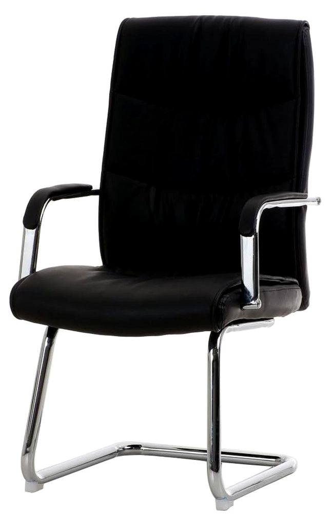 Freischwinger Caro mit hochwertiger Polsterung und Kunstlederbezug, gepolsterter Konferenzstuhl mit Armlehne, Chefsessel mit Bodenschonern, Farbe: ...