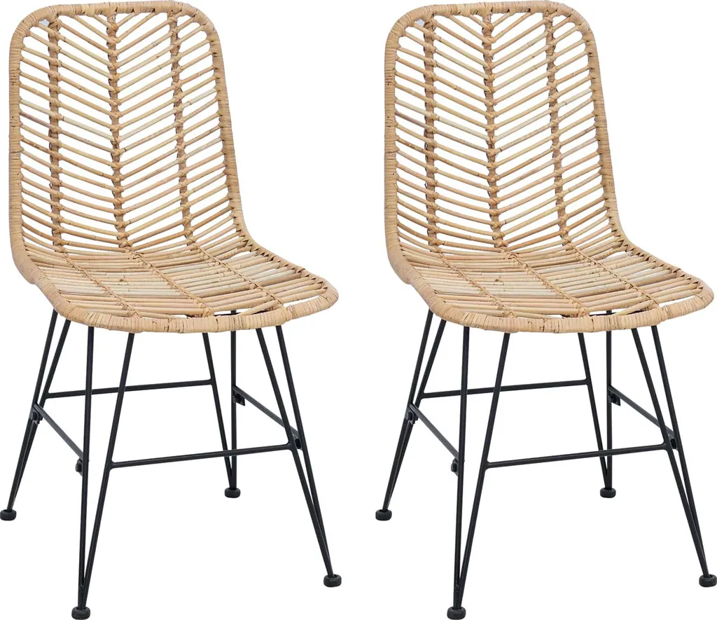 vidaXL Lot de 2 Chaises de Salle à Manger en Rotin Naturel et Fer Noir