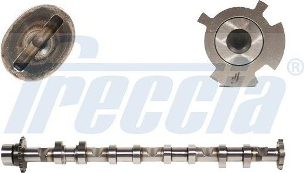 FRECCIA CM05-2248 Nockenwelle Einlass für VW Golf V Schrägheck (1K1) TOURAN (1T1, 1T2) Passat Variant (3C5) GOLF PLUS (5M1, 521) Passat Limousine...