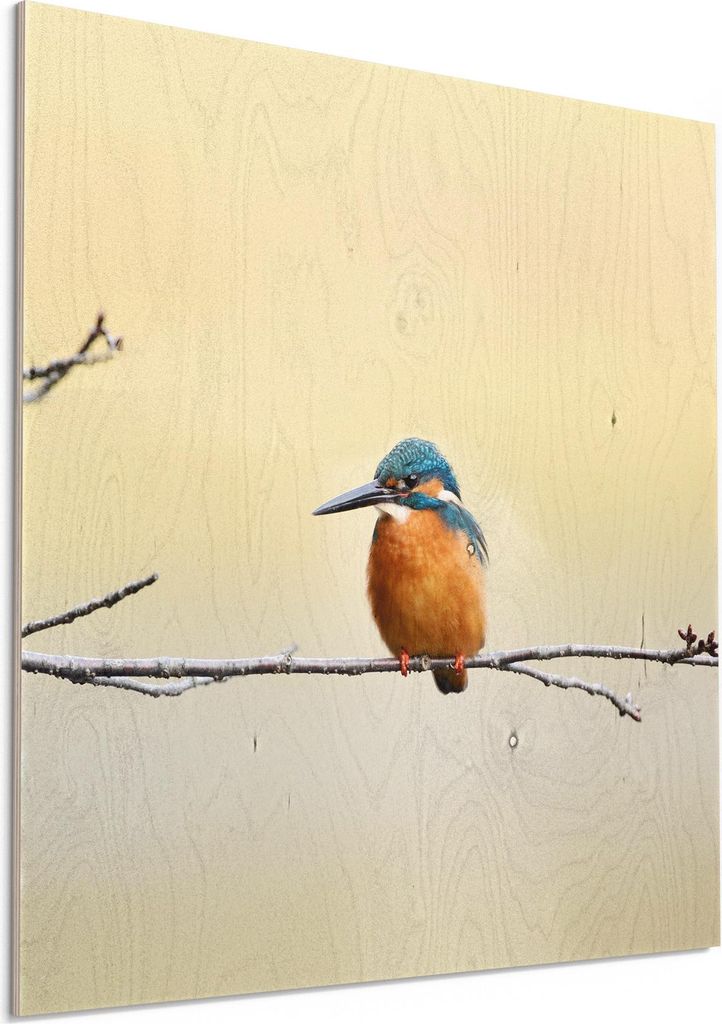 DEQORI Holzbild 50x50 cm 'Königsfischer auf Zweig' Bild auf Holz Wandbild Kunstdruck