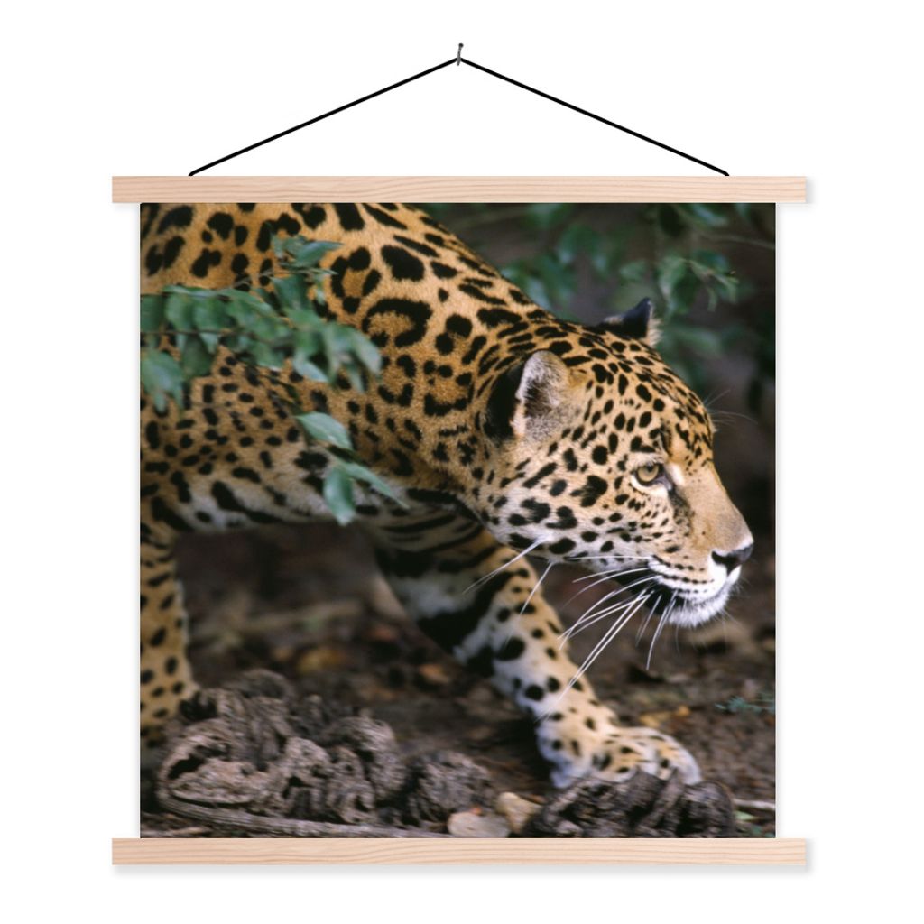 MuchoWow Textilposter Schleichender Jaguar im Wald 120x120 cm mit holzfarbenen Rahmen - Textil-Poster