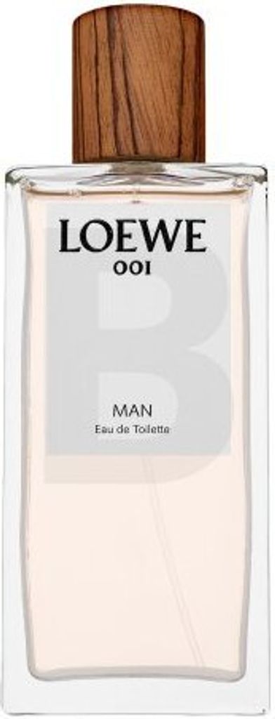 Loewe 001 Man Eau de Toilette für Herren 100 ml