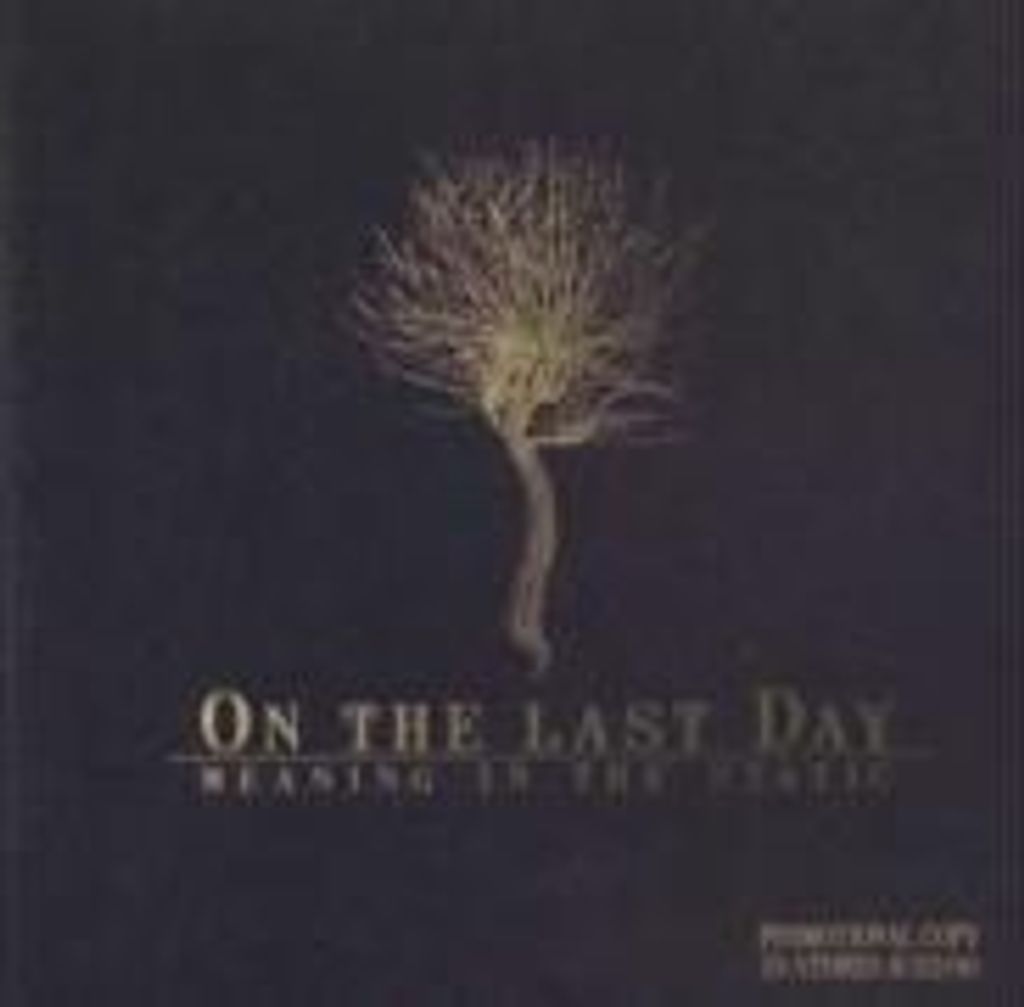 On The Last Day-Meaning In The Static