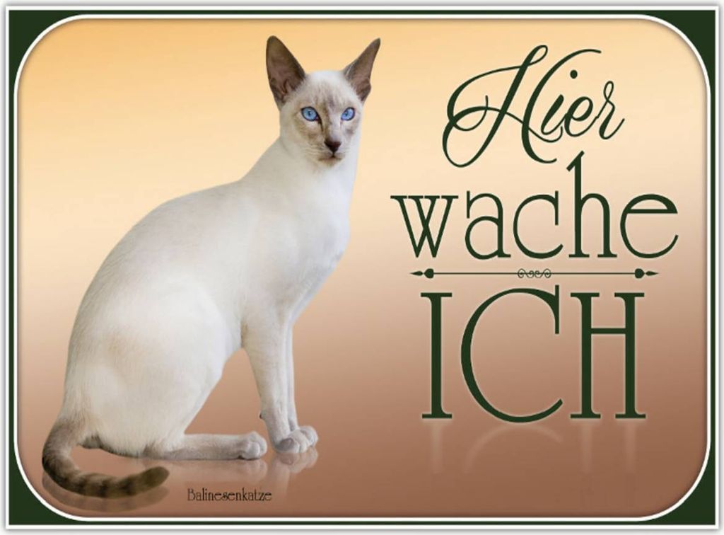 vianmo Holzschild 30x40 cm Katze Balinesenkatze hier wache ich