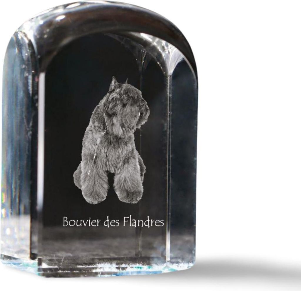 Flandrischer Treibhund, Bouvier des Flandres - Kristallwürfel mit Bild, Hundebild im Kristall, sechseckiger Papierclip von Art-Dog.
