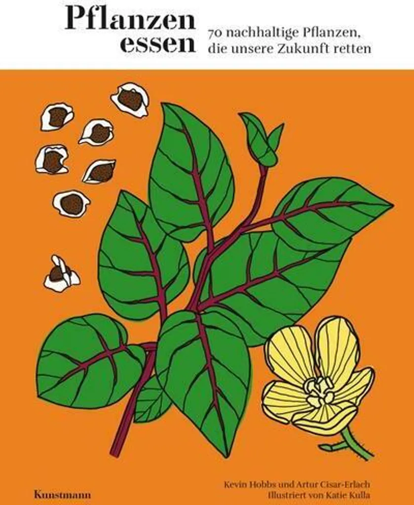 Livre Pflanzen essen transition végétarienne facile guide pratique 2026