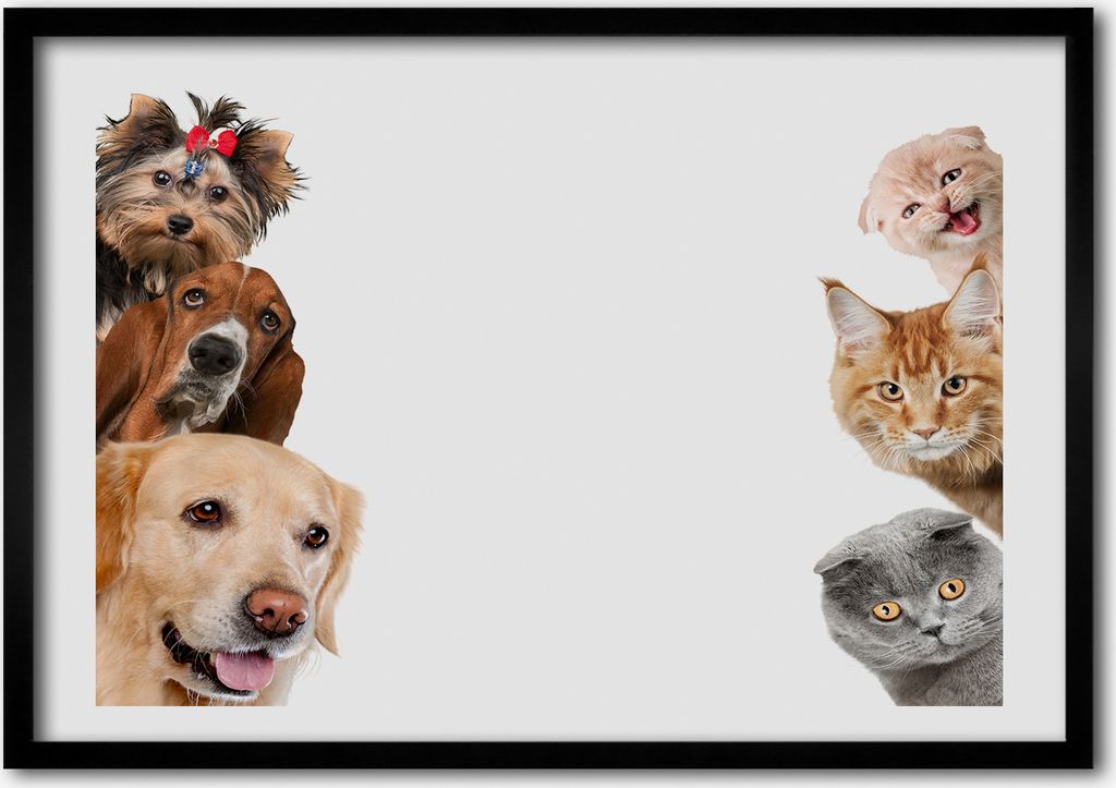 Bild - Bilderrahmen - 100 cm x 70 cm - MDF - Rahmen - Foto - Wandkunst Hunde und Katzen