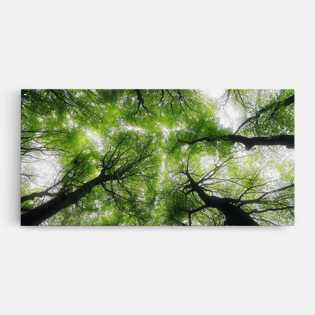 ARTHUB Leinwandbild 40x80 cm, Forest Green Tree | Wohnzimmerdekoration, Hängende Bilder, Wanddekoration, Heimdekoration, Landschaften, Wälder