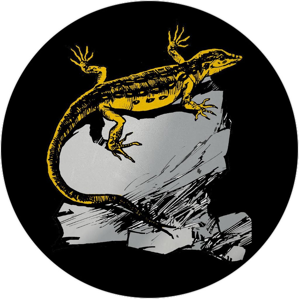 Eidechse Magnet mit Flaschenöffner rund