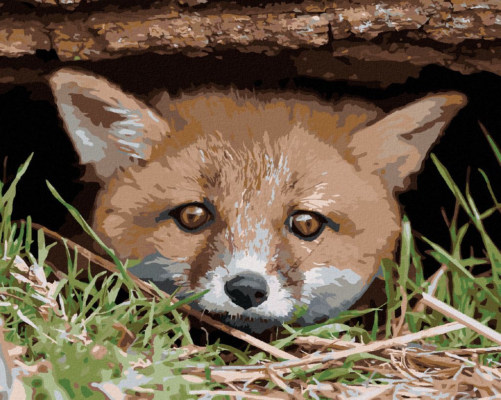 Zuty - Malen nach Zahlen - FUCHS UNTER DEM BAUM, 40x50 cm, mit Keilrahmen (bereits gespannt)