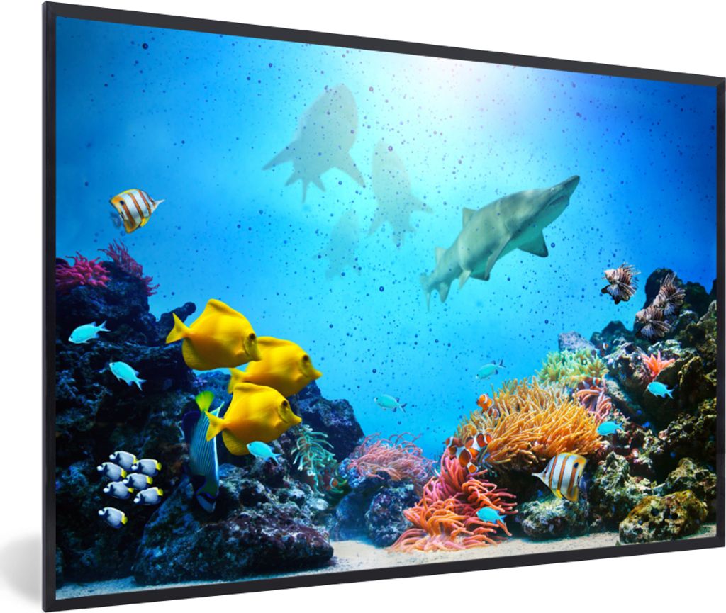MuchoWow MuchoWow Gerahmtes Poster Meer - Fische - Korallen 30x20 cm - Poster mit zchwarzem Bilderrahmen - Kunstdruck - Bild-Poster