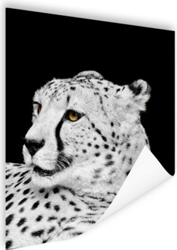 MuchoWow Poster Leopard - Weiß - Schwarz 90x120 cm - Wohnzimmer