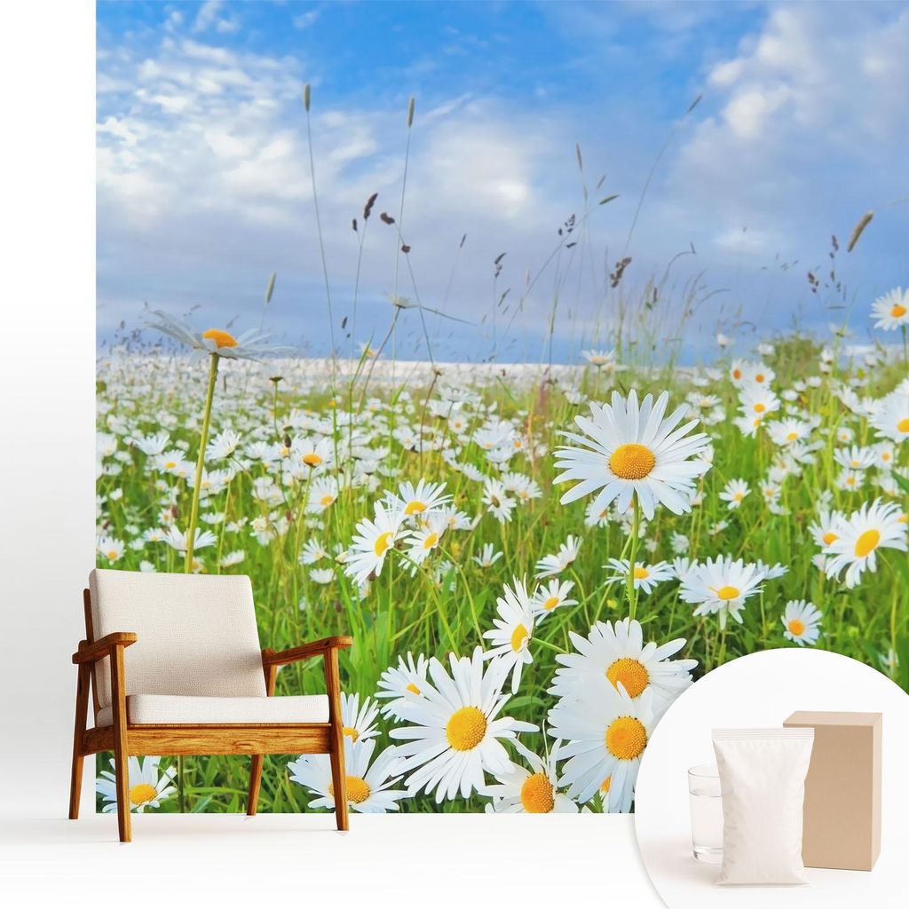 Fototapete - 250x250 cm - Tapete - Wandtapete - Wandbilder - Dekofolie - Tapete Folie - Wand - Dekoration - Wohnzimmer - Sommerwiese