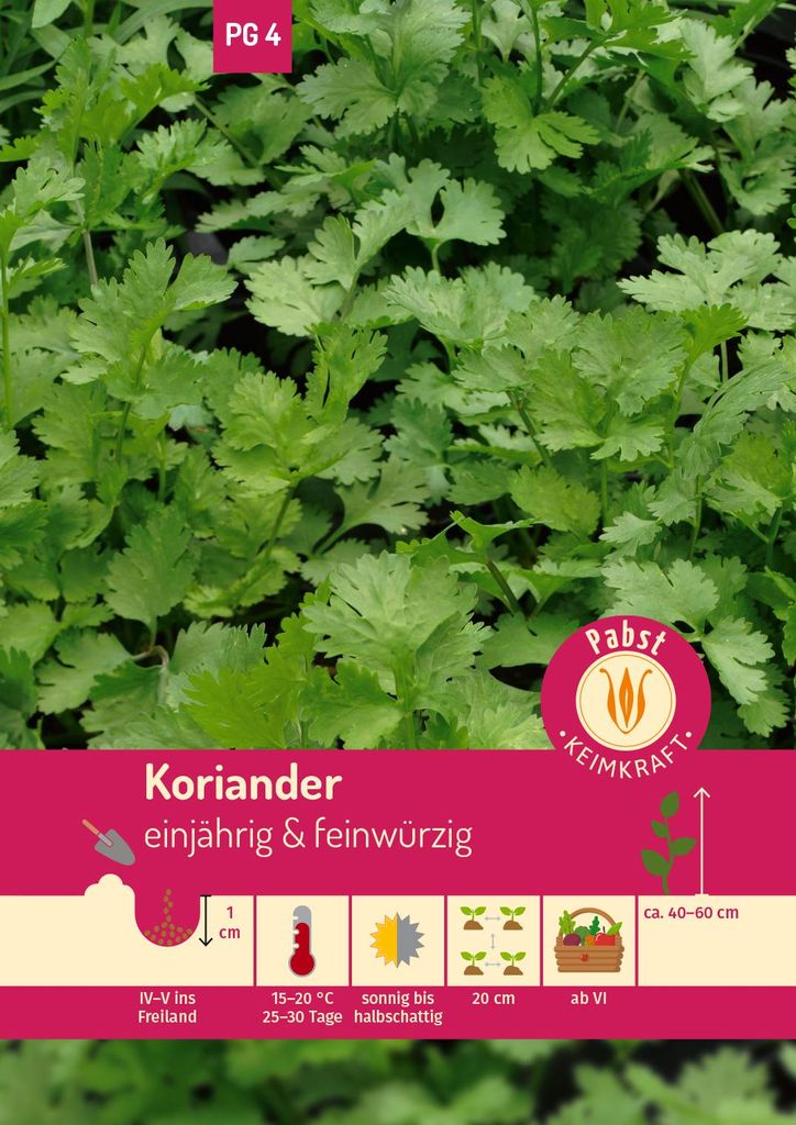 Artikelbild 1 von 'Koriander Einjährig' aus der Kategorie Koriandersamen
