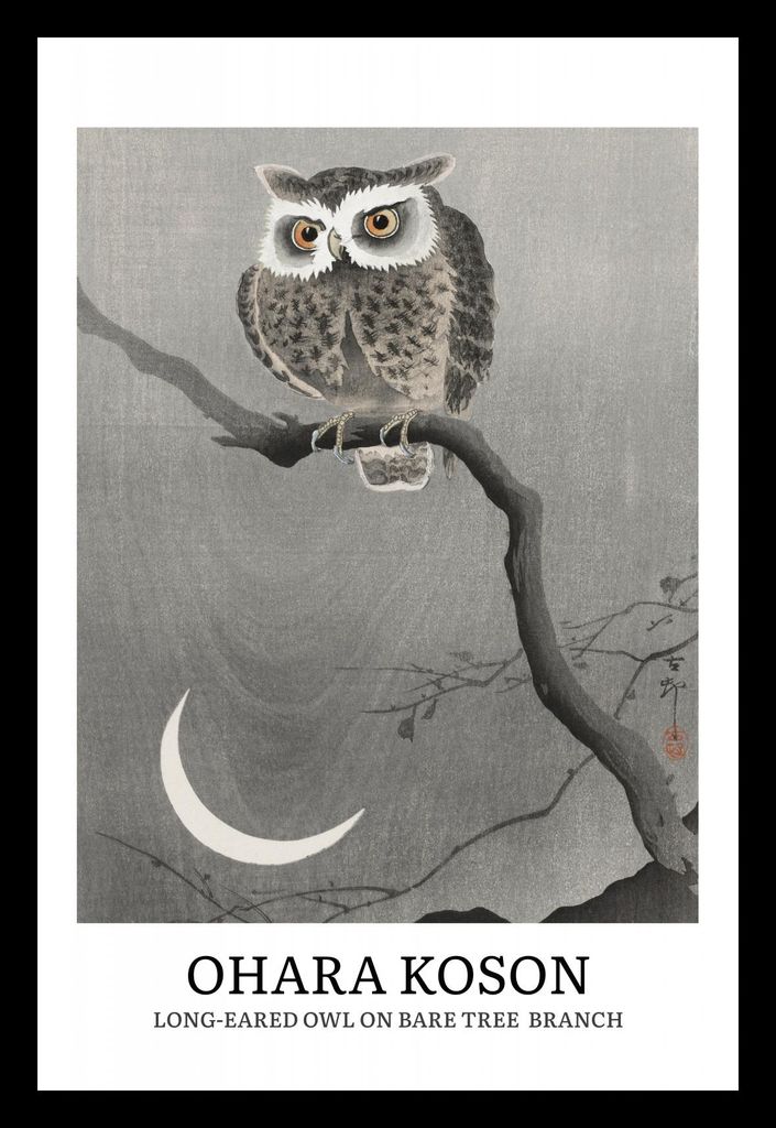 Plakat 20x30cm Design Langohr-Eule, Koson Vintage für das Wohnzimmer