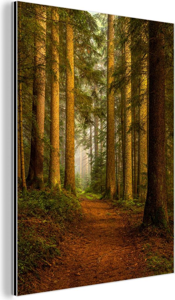 MuchoWow Wanddekoration Metall Metallbild Wandkunst 90x120 cm Wald - Natur - Bäume - Landschaft - Laub MuchoWow Aluminium Gemälde - Industrial