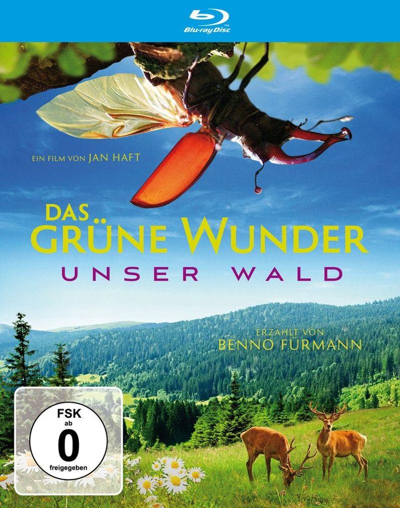 Das grüne Wunder - Unser Wald