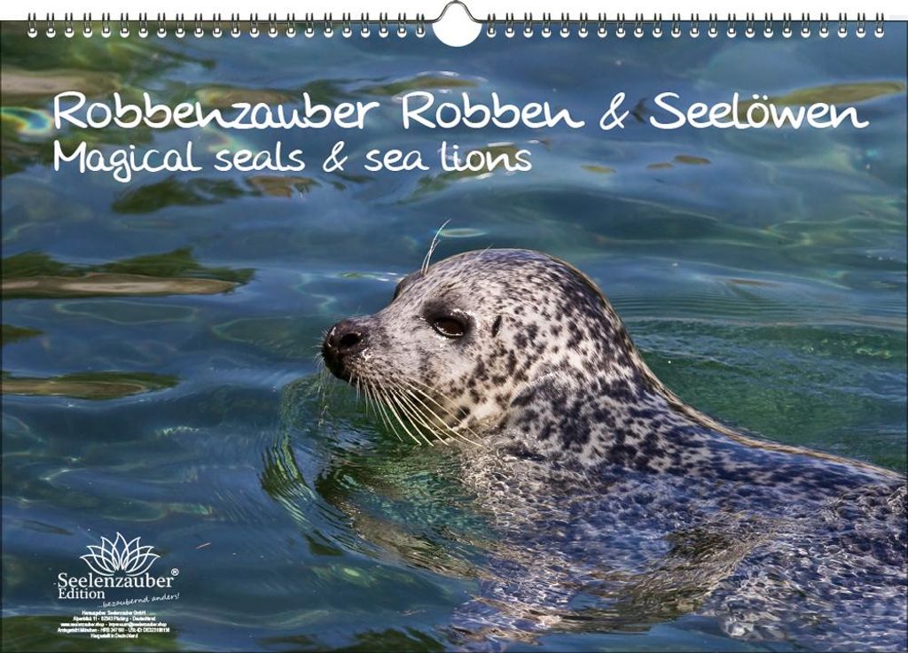 Robbenzauber DIN A3 Immerwährender Kalender Robben und Seelöwen - Seelenzauber