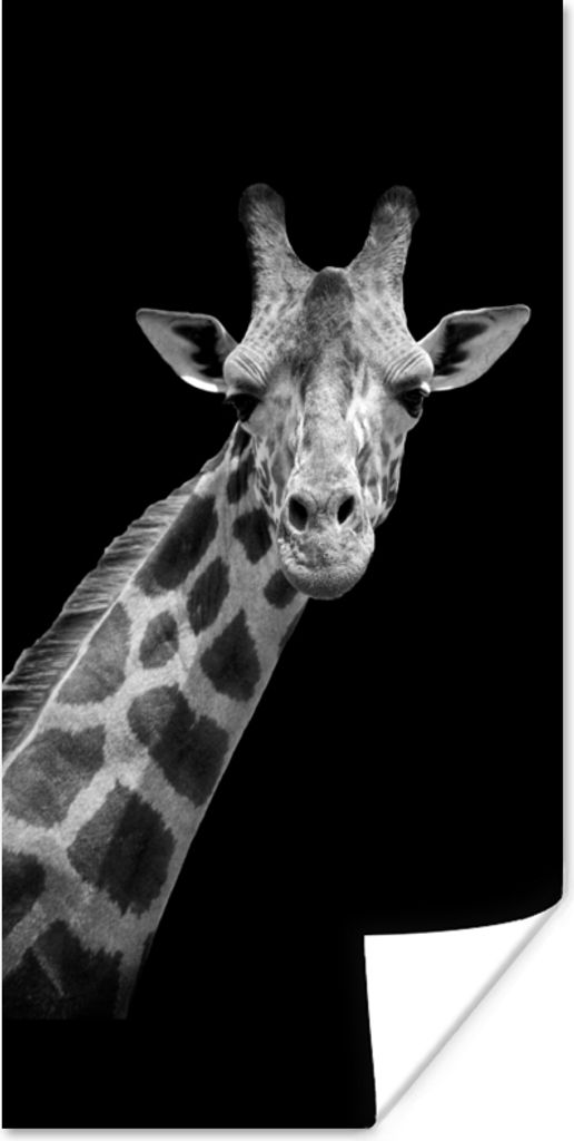 MuchoWow Poster Giraffe - Wildtiere - Schwarz - Weiß - Porträt 40x80 cm - Dekoration