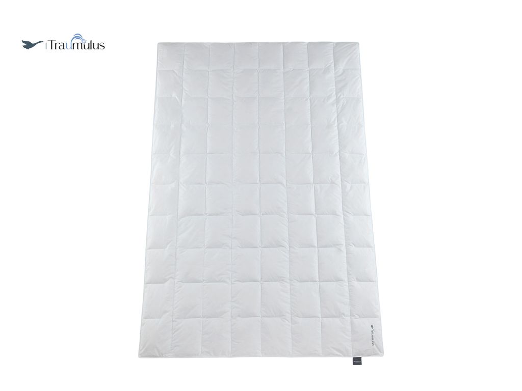 Häussling Traumulus Sommerdecke Daunen DED 8x10 Karo, 155x220 cm, Deutsche Manufaktur, auch für Allergiker geeignet, Bezug 100% Baumwolle