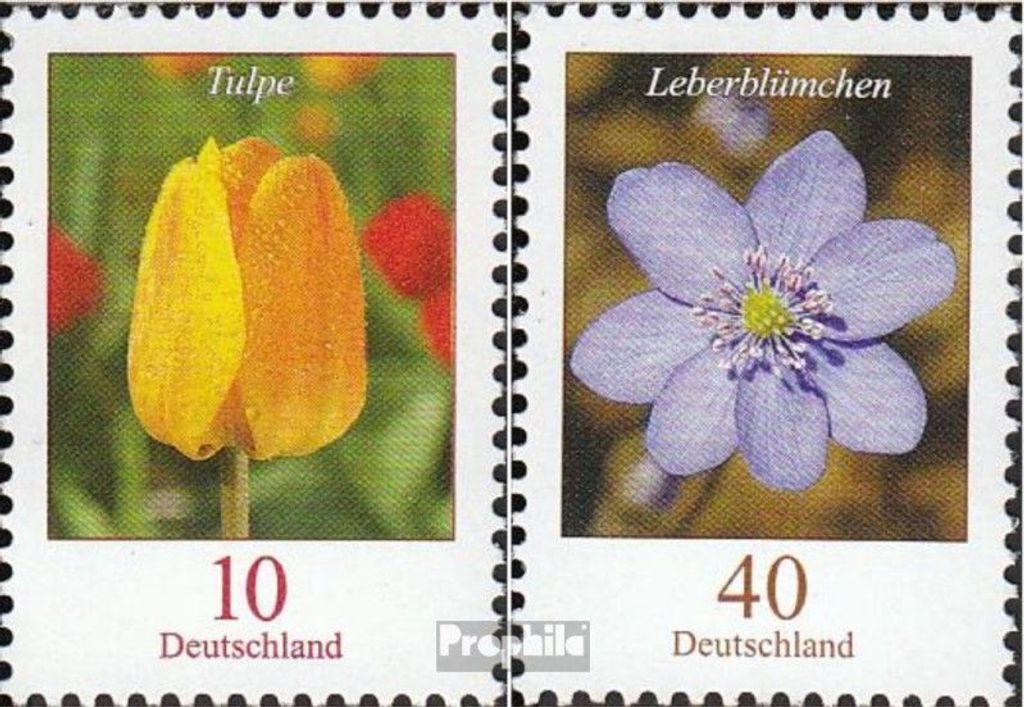 Briefmarken BRD (BR.Deutschland) 2005 Mi 2484A-2485A (kompl.Ausg.) FDC Blumen
