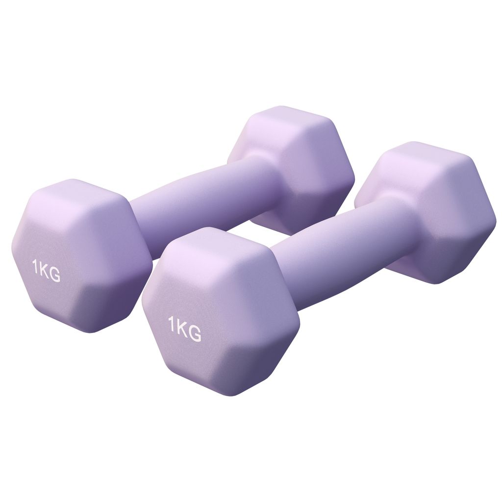 GORILLA SPORTS Hanteln Set - Neopren, 2x1kg, Gusseisen, Lila - Hexagon Kurzhanteln, Hantelset, Gewichte für Pilates, Frauen, Männer, Fitness, Z...