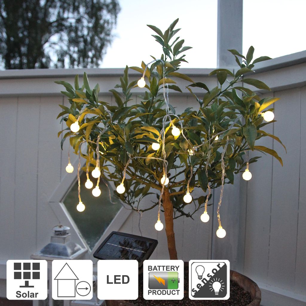 A string of white LED lights on a small tree, with a solar panel in the foreground.