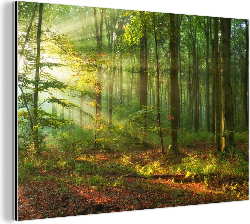MuchoWow Wanddekoration Metall Metallbild Wandkunst 30x20 cm Sonne - Wald - Bäume - Natur - Herbst MuchoWow Aluminium Gemälde - Aluminiumgemälder