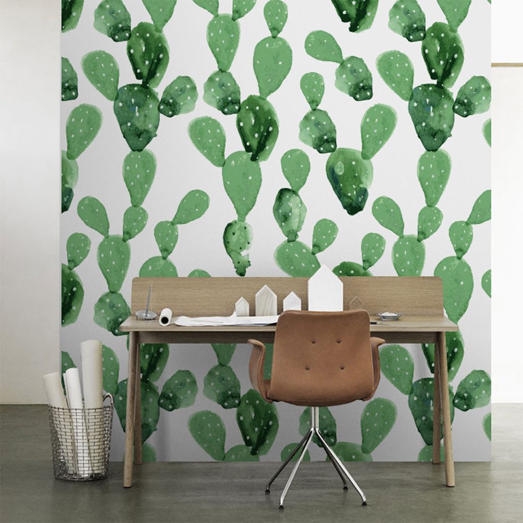 Coloray Fototapete 250x104 cm Latextapete Magicstick - Opuntia Cactus Cacti-Anlage