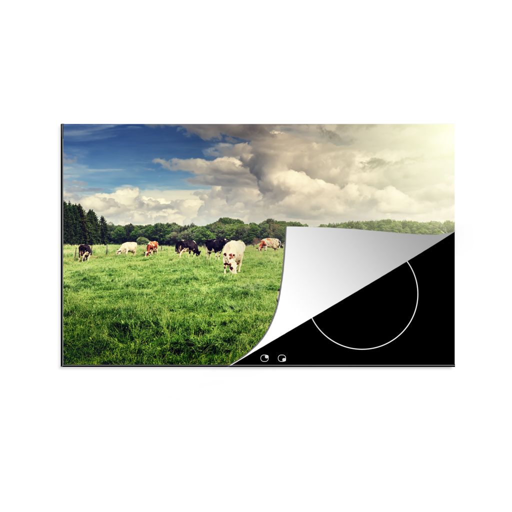 KitchenYeah Herdabdeckplatte Kühe - Weide - Natur - Tiere - Landschaft , 81x52cm, Küche Deko, Glaskeramikfeld Herdabdeckung, Abdeckplatte fùr ...
