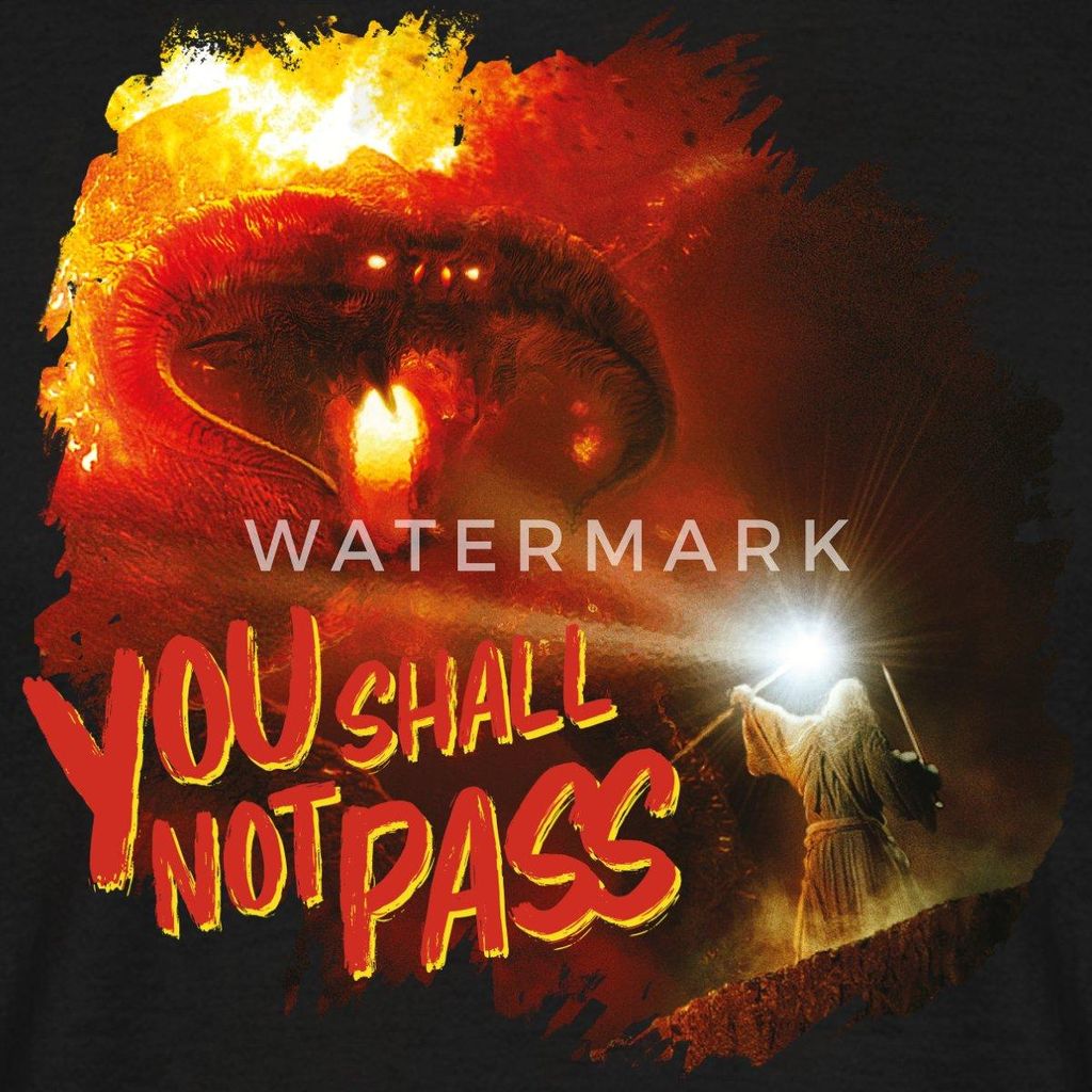 Spreadshirt Der Herr Der Ringe Gandalf Und Der Balrog Zitat Männer T-Shirt, XL, Schwarz
