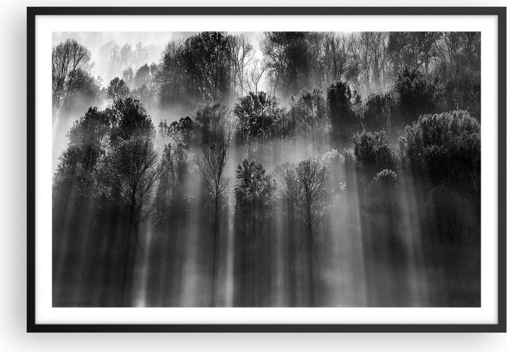 Gerahmtes Poster - Schwarzer Rahmen - Bäume drinnen Nebel - Produktbild 