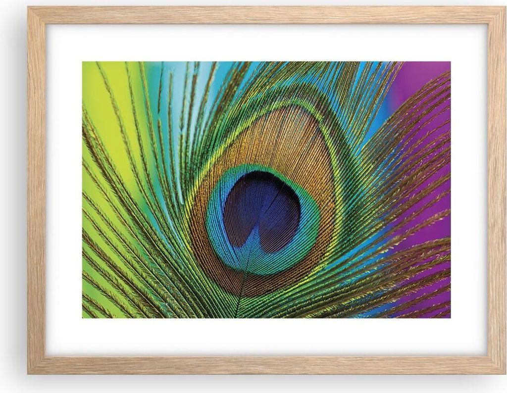 Gerahmtes Poster - Rahmen in heller Eiche - Pfauen Federn Regenbogen - 40x30 cm - Wand Bild - Wanddeko - Wandbilder - Kunstposter - Wandposter - Bi...