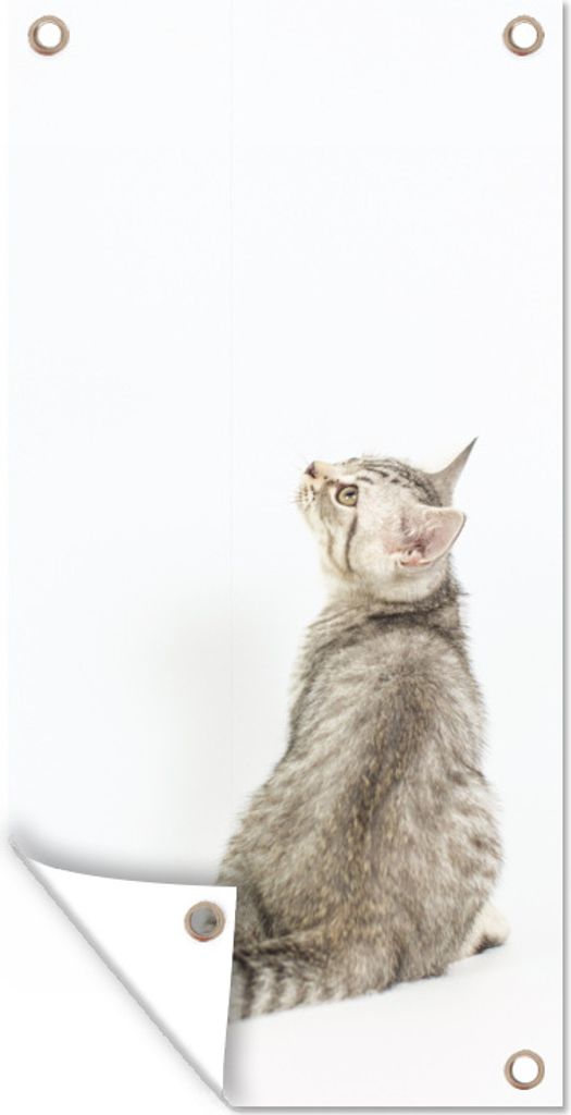 MuchoWow 40x80 cm Outdoor-Poster Gartendeko Sichtschutz Garten Poster für den Garten Katze - Haustiere - Fell