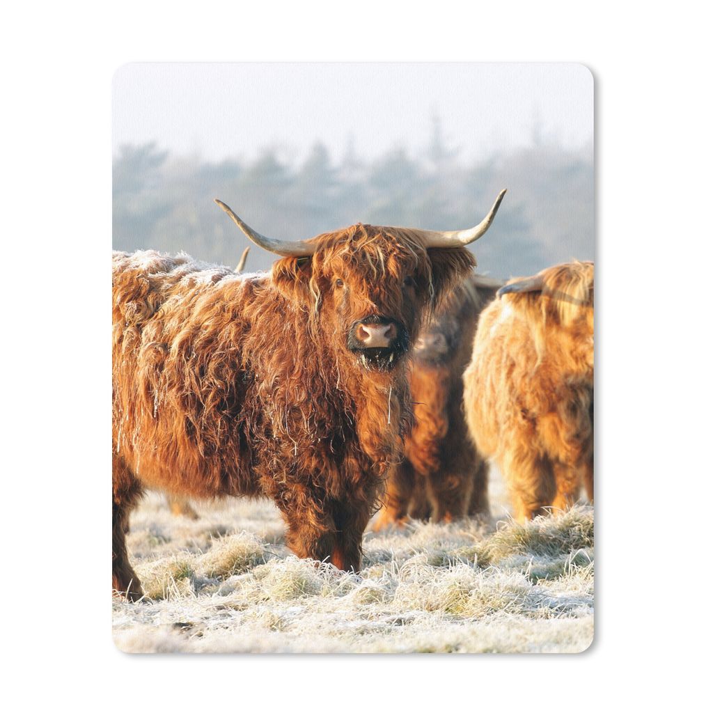 MuchoWow Mauspad Mousepad Schottische Highlander - Schnee - Wald 30x40 cm - Mousepads - Maus Mat - Pad - Mausunterlage - Mausmatten