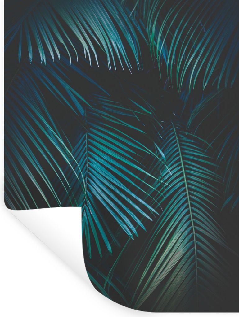 MuchoWow Wandtattoo Wandsticker Wandaufkleber Palme - Palmenbaum - Tropisch 60x80 cm Selbstklebend und Repositionierbar - Repositionierbar - Wass...