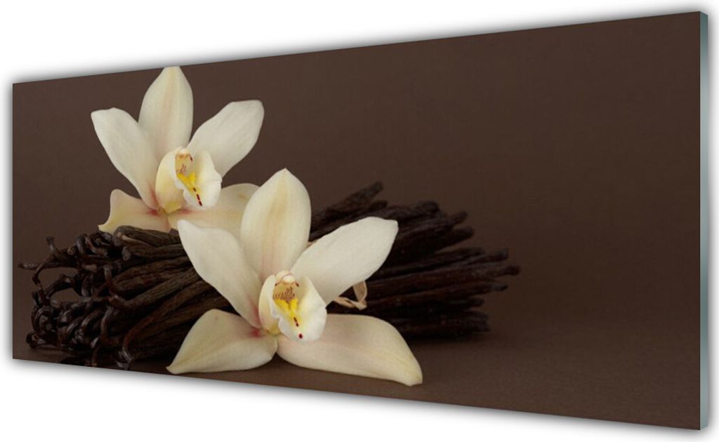 Acrylglasbilder 125x50 Wandbild Druck Vanille Pflanzen