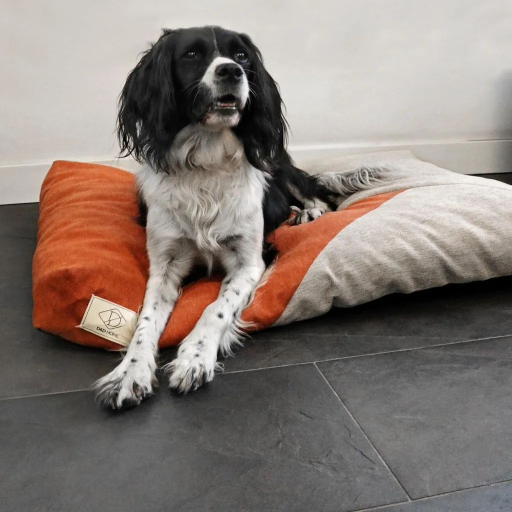 Panier pour chien format M coloris beige et orange - Modèle D&D Maddy - 3