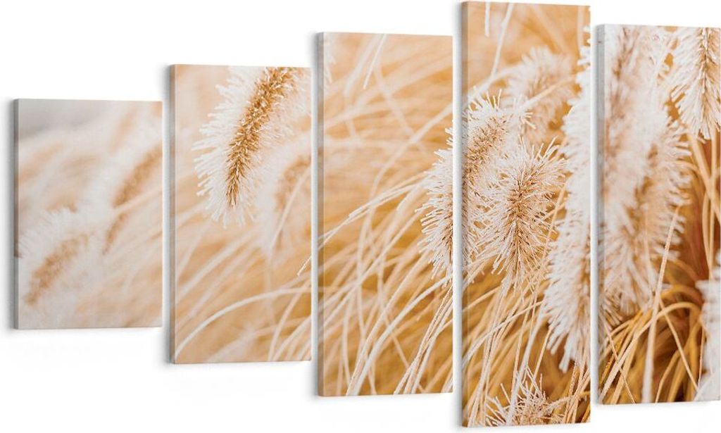 Bild auf Leinwand - Leinwandbild - 5 Teile - Gras Boho Licht - 100x60cm - Wand Bild - Wanddeko - Wandbilder - Leinwanddruck - Bilder - Wanddekorati...