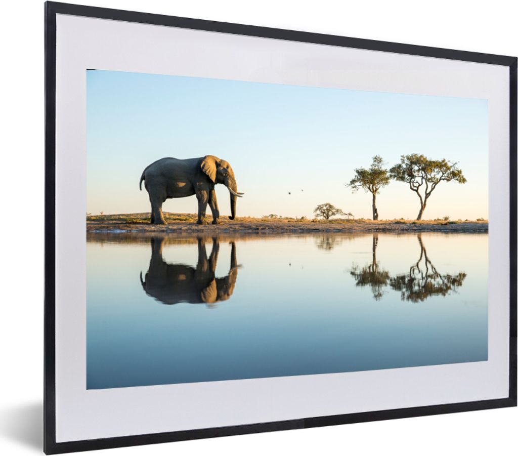MuchoWow® MuchoWow® Gerahmtes Poster Elefant - Wasser - Produktbild 