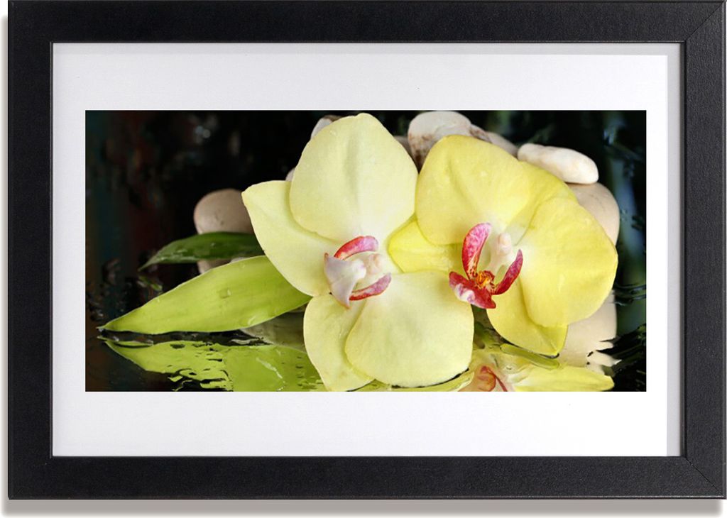 Bild 30x20 MDF-Rahmen Wandkunst Orchid Blütenblätter