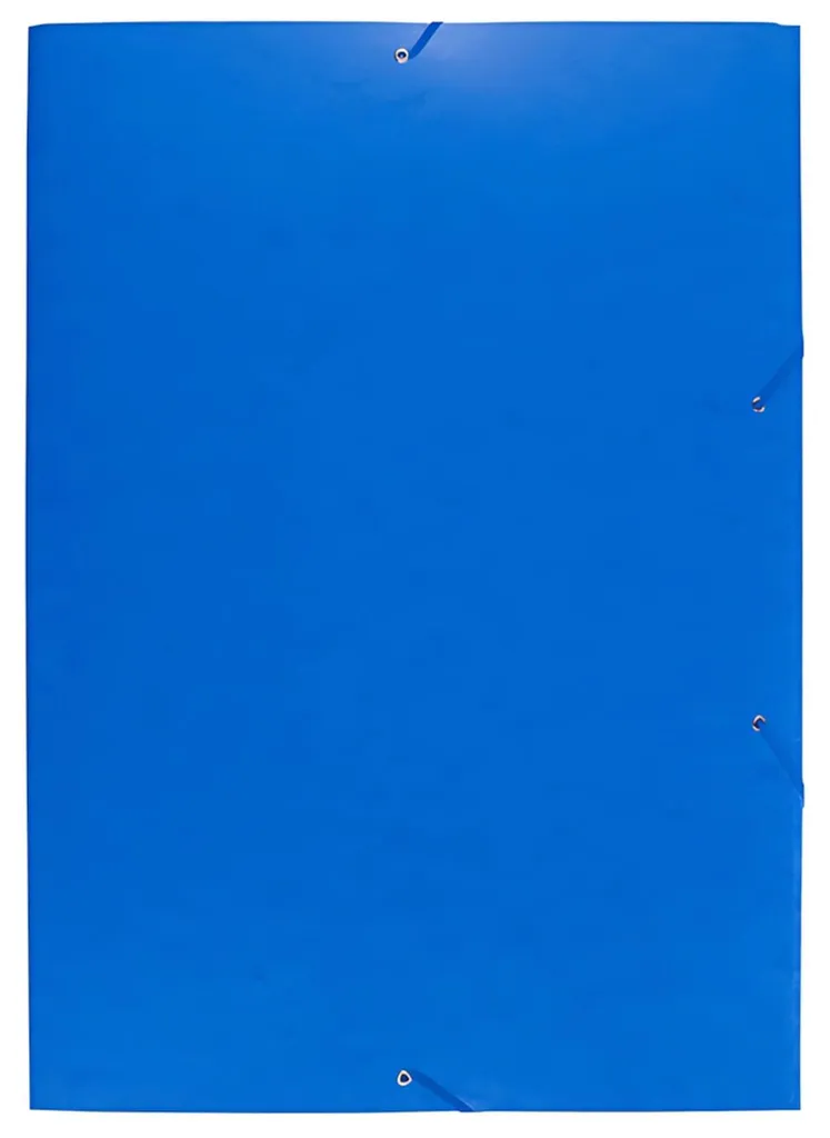 Protégez vos documents A2 contre les pliures : Chemise Exacompta 600g