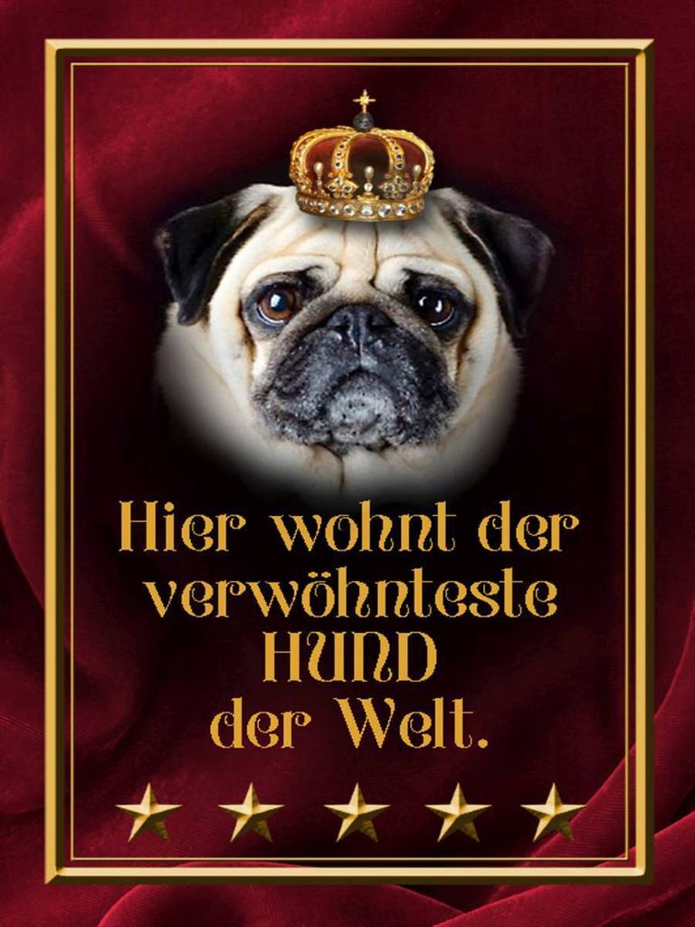 vianmo Holzschild 40x30 cm hier wohnt Hund der Welt