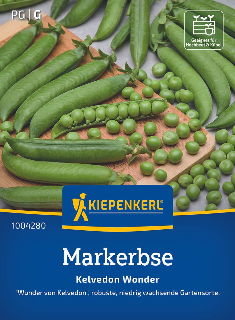 Kiepenkerl - Markerbse Kelvedon Wonder Samen - 1004280