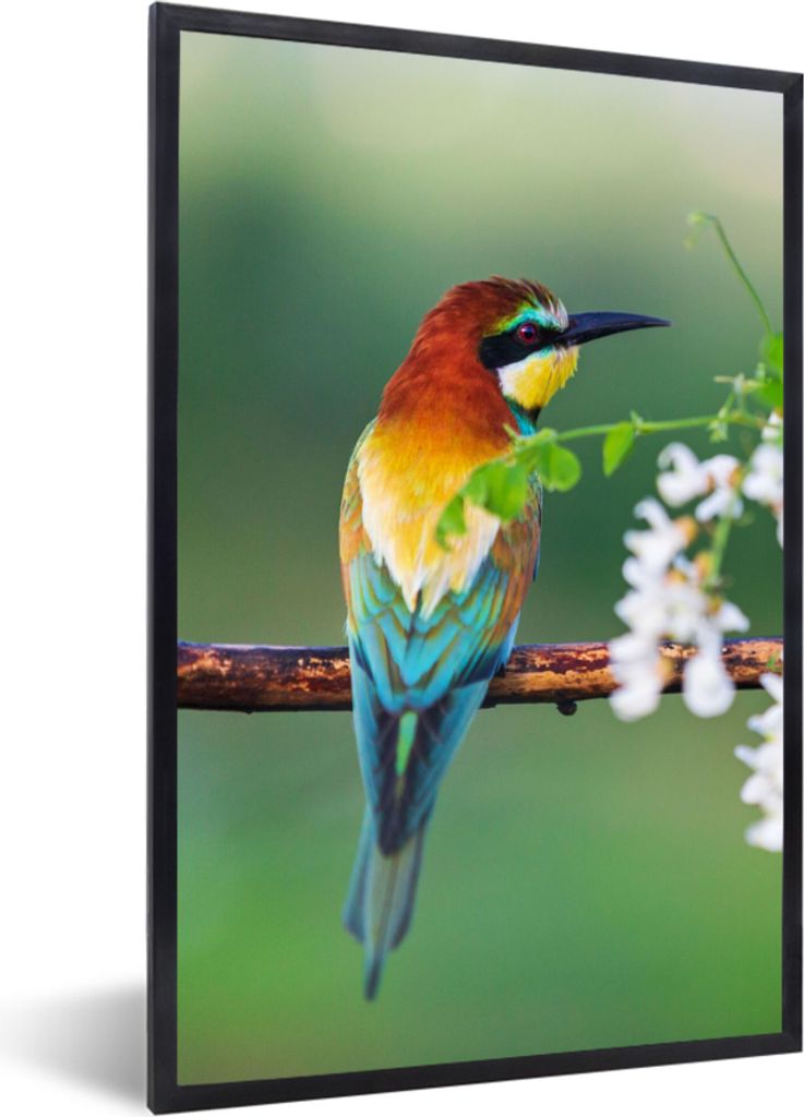 MuchoWow Gerahmtes Poster Vogel - Bienenfresser - Blumen 40x60 cm - Poster mit Schwarzem Bilderrahmen Wandposter Rahmen Foto Bilder - Papierdruck...