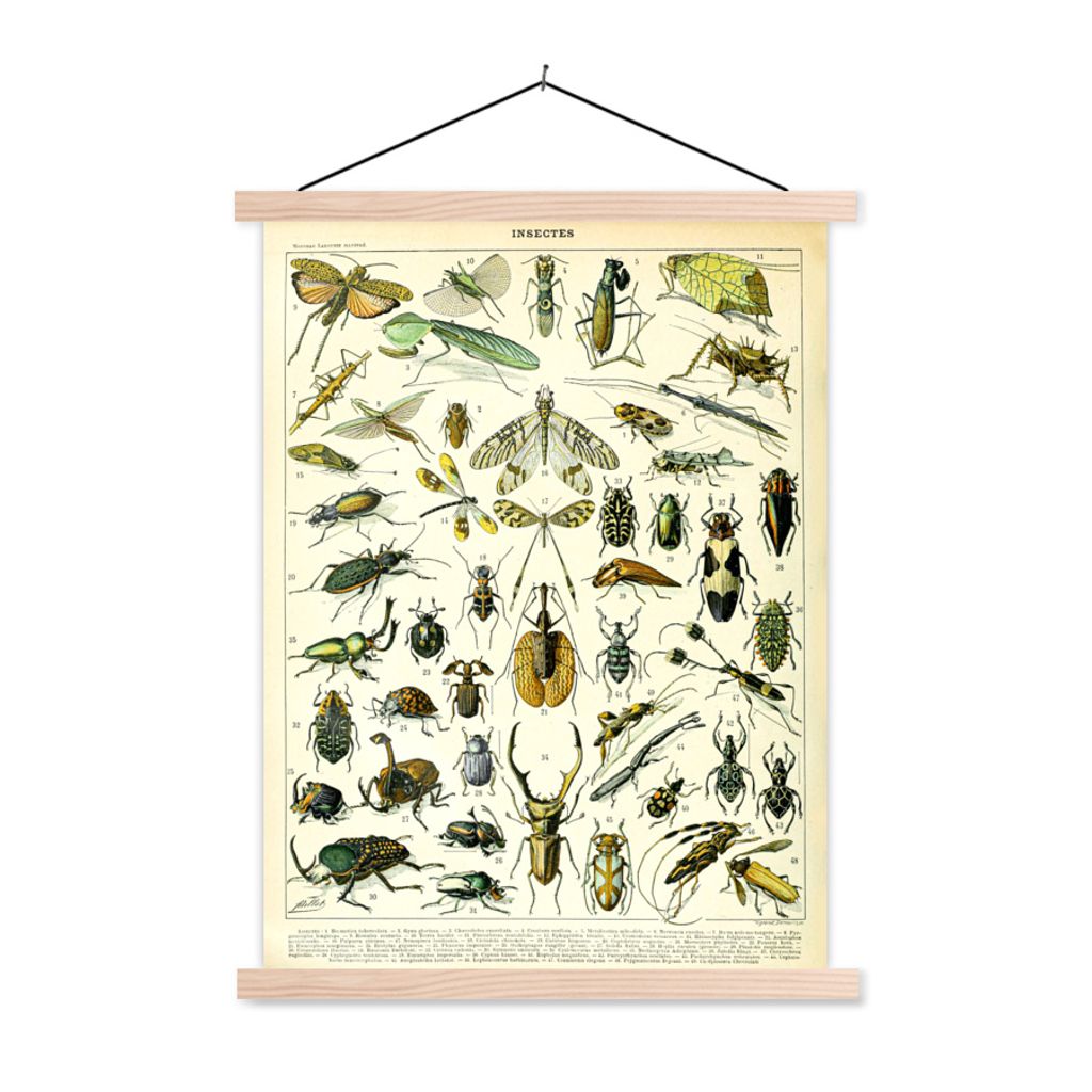 MuchoWow Textilposter Insekten - Tiere - Libelle 120x160 cm mit holzfarbenen Rahmen - Plakatkarton