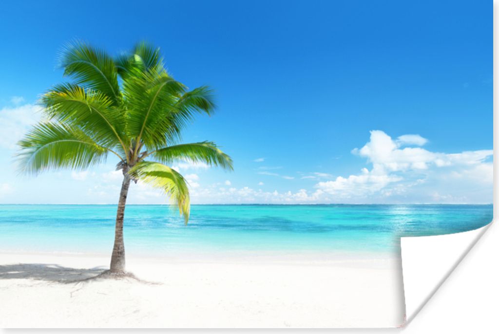 MuchoWow Poster Palme - Strand - Meer - Sommer 180x120 cm - Fotoplakat